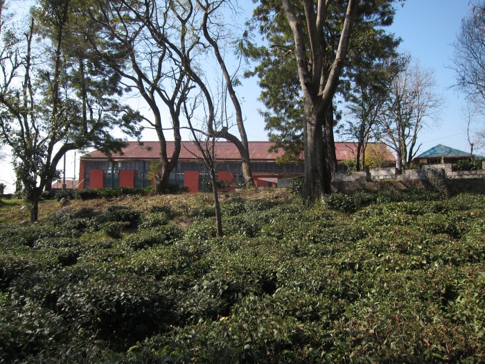 Bir Cooperative Tea Factory.